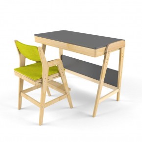 Комплект растущий стол и стул с чехлом 38 попугаев «Вуди» (Серый, Без покрытия, Грин) в Елабуге - elabuga.mebel-74.com | фото
