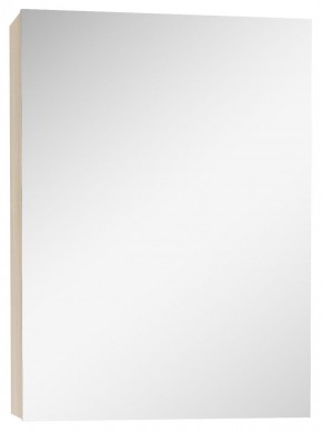 Шкаф-зеркало Мечта 40 Дуб сонома АЙСБЕРГ (DM2317HZ) в Елабуге - elabuga.mebel-74.com | фото